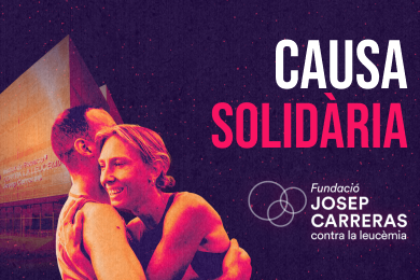Causa solidària